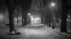 mi-winter